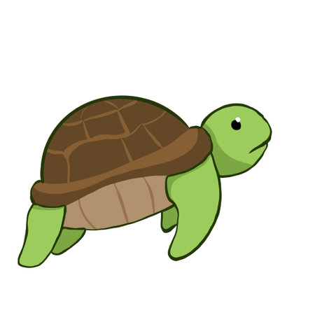 Turtle animal isolated on white background. Vector illustration. Eps 10.の写真素材
