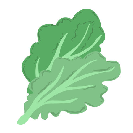 Lettuce icon in cartoon style isolated on white background. Vegetables symbol stock vector illustration.の写真素材