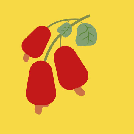 cashew fruit design, vector illustration eps10 graphic flat styleのイラスト素材