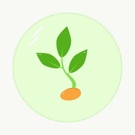 Planting seed sprout in ground. Symbol grow sapling. Icon, flat isolated on white background.のイラスト素材