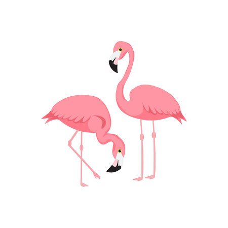 Flamingos. Watercolor tropical illustration with flamingo couple and palm tree leaves background. Hand drawn bright art in vectorのイラスト素材