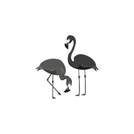 Stylized silhouette of a flamingo. Logo design for the company.eps 10の写真素材