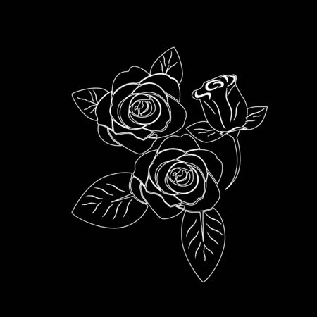 Floral illustration with roses.のイラスト素材