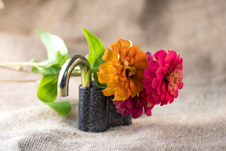 two flowers are suspended on a broken padlock on the background canvas