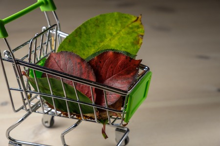 autumn leaves taken behind the cart, close-up, wood backgroundの写真素材