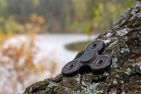 birch it is a black rusty spinner, outdoor in the woodsの写真素材