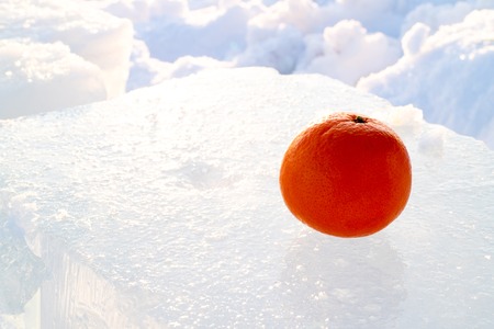 orange mandarin on cold ice, tropical fruit and northernの写真素材