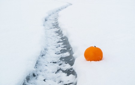 an orange next to a crack in a pond passing through the ice, winter snowの写真素材