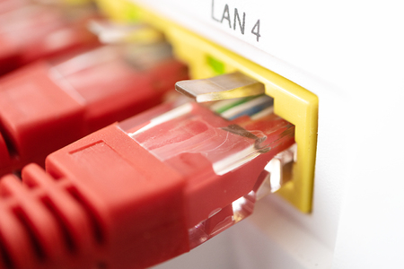 connection patch cord and connector for internet close-upの写真素材