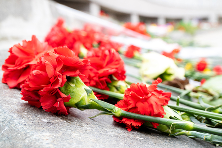 carnation flowers on a marble slab, background marble slabs in honor of the deadの写真素材