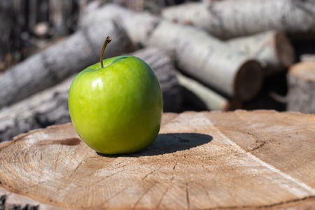 fresh green apple on a wooden stump, a backdrop of sawn trees