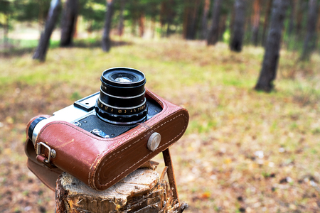 an open case of a leather camera on a felled tree in a pine forest, a film old camera left in the woodsの写真素材