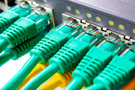 on the switch all ports are occupied by cables RJ 45, green cable