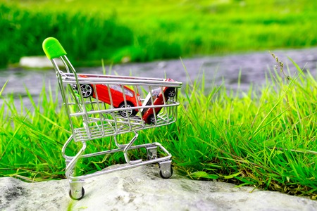 two red cars in the shopping cart on the background of nature green field and the river in the background. Protection of nature when buying a car environmental feeの写真素材