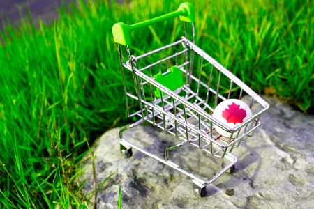 a shopping cart in which is a rubber ball with a red maple leaf, buy Canadaの写真素材