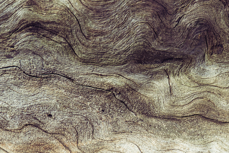 wood texture winding lines randomly arranged on the surface of the tree, brown for abstract background, wood with linesの写真素材
