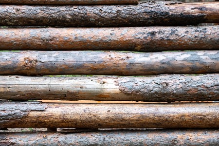 wall of old dry logs, rows of horizontal pine logsの写真素材