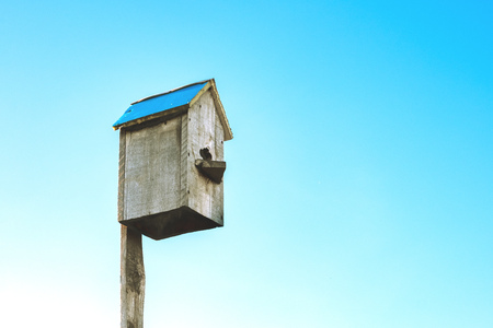 in the left corner of the frame on a blue sky background birdhouse made of wood, sunlight during the dayの写真素材