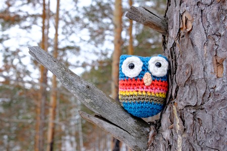 on the pine tree is a homemade knitted toy owl of different threads, a fake owl in the real forestの写真素材