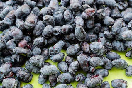 honeysuckle berries on a green background, berries for vitaminsの写真素材