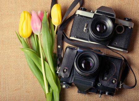 two cameras are bases to each other on the cloth next to them is a bouquet of tulips. tinted photoの写真素材