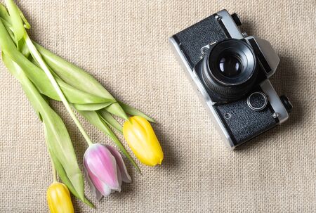 a bouquet of three Tulip flowers is next to the old film camera.の写真素材