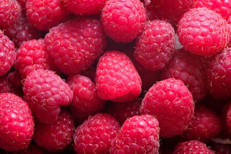 ripe raspberries scattered in one place, a lot of berries