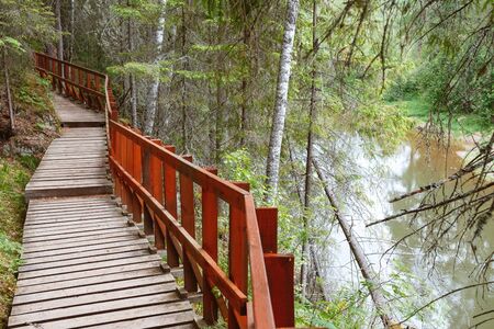 a walking path made of wood with a railing to prevent falling. tourist path along the river on the steep Bank of the forestの写真素材