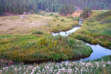 a small forest river in a meadow among the grass curves in the background forest and hillsの写真素材
