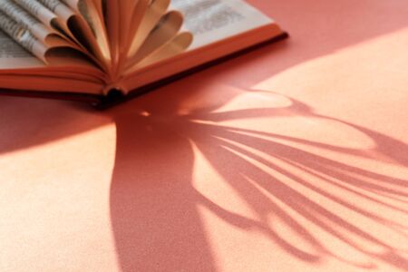 book with curled pages in the sunlight casts fancy shadows on a pink background. shadow of knowledgeの写真素材