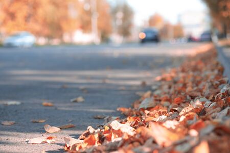view from the sidewalk on the autumn road a shallow depth of field blurred background. autumn time on city roadsの写真素材