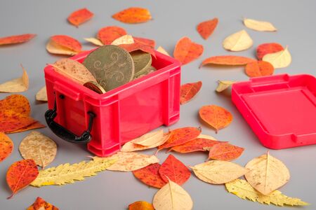 an old coin and autumn leaves in a red plastic container. autumn finds