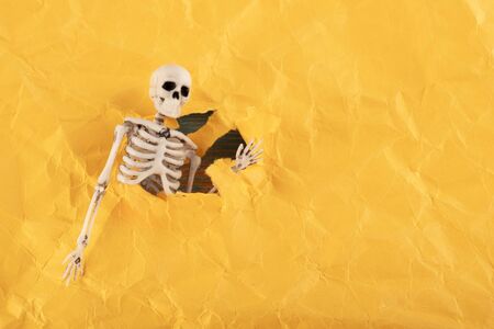skeleton sends hi burst through crumpled yellow paper. hi from the next worldの写真素材