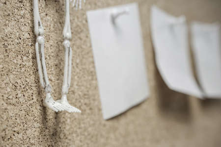 legs of the human skeleton on the background of stickers with to-do list. intimidation of debtorsの写真素材