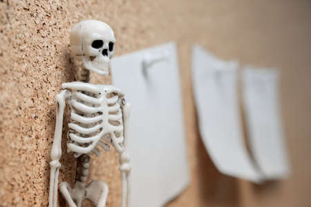 the human skeleton on the left side is a sticker to remind you of business. to-do list before retiringの写真素材