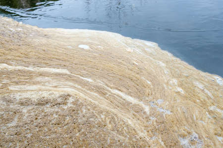 dirty foam in the water of the river near the bank. problems of clean rivers