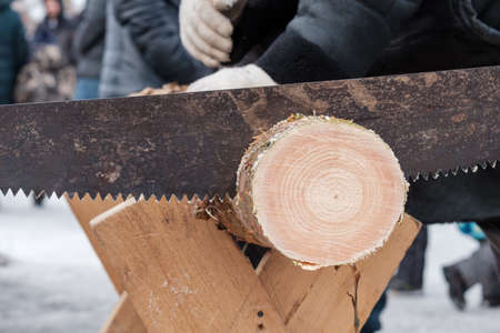 two-handed saw and pine log, close-up of old technology of cross-cutting of logs. early sawed soの写真素材