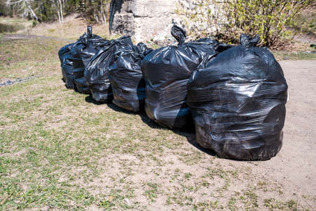 many black garbage bags collected by volunteers in nature. waste bags are collected in a row