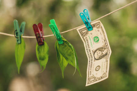 one dollar is hanging from a rope next to him out of focus all the green leaves of a tree. money and...