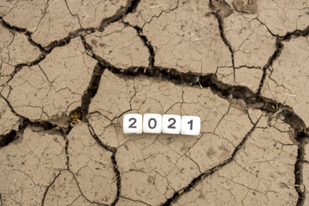 on white cubes, the numbers 2021 symbolizing the year, on the cracked soil. trial year concept