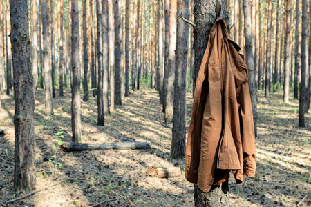 brown jacket hung on a tree trunk in the forest, no owner. threw clothesの写真素材