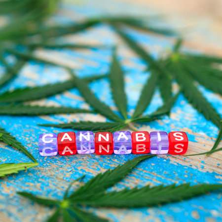 marijuana leaves and cubes of different colors with letters the word cannabis is assembled from them, the background is a painted treeの写真素材
