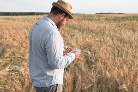 a man agronomist in a hat stands on a field with rye and examines whether it is ripe or not. farmer taking care of plants in the fieldの写真素材