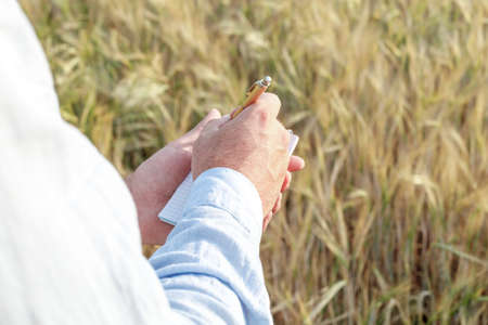 the hands of a man write in a notebook against the background of a field with ears of corn. an...