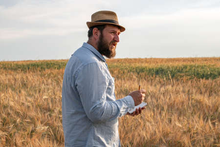 male agronomist stands in the field and records, analyzes the growth of plants. summer evening in the farm fieldの写真素材