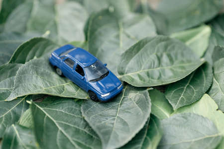 a blue toy car is located on the green leaves of a tree. commonwealth of nature and mechanismsの写真素材