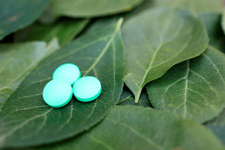 three green pills on a plant leaf, a natural pain medicineの写真素材