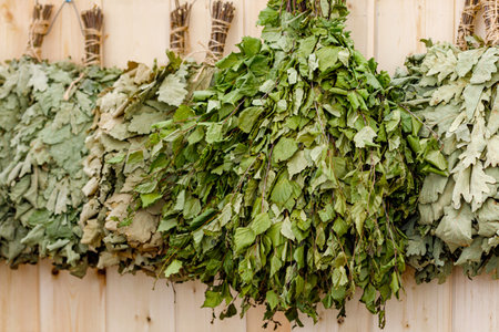 dry brooms for a bath hanging on the wall with wooden planksの写真素材