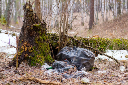 discarded garbage in the forest by a tree that has rotted. the problem of environmental pollution by humanの写真素材