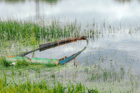 sunken boat in a pond in the summer. the concept of the transience of timeの写真素材